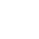 li-icon